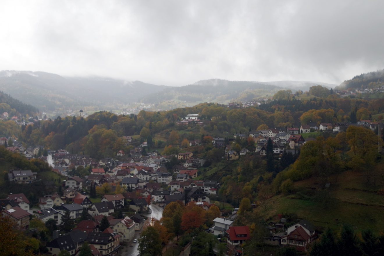 Himmlische Trockenmauerpflege auf dem Engelsberg in Bühlertal.