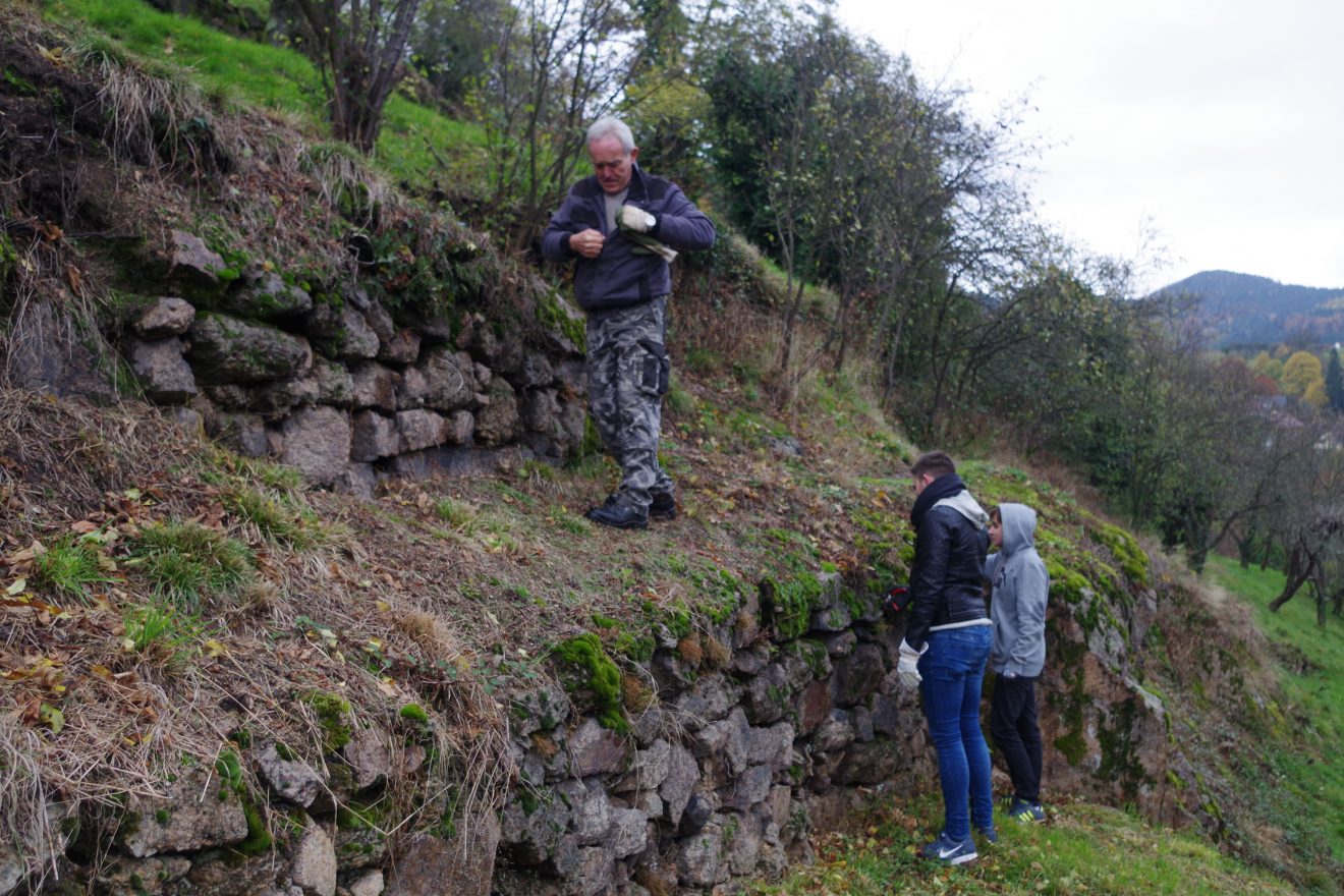 Tockenmauerpflege auf dem Engelsberg in Bühlertal.