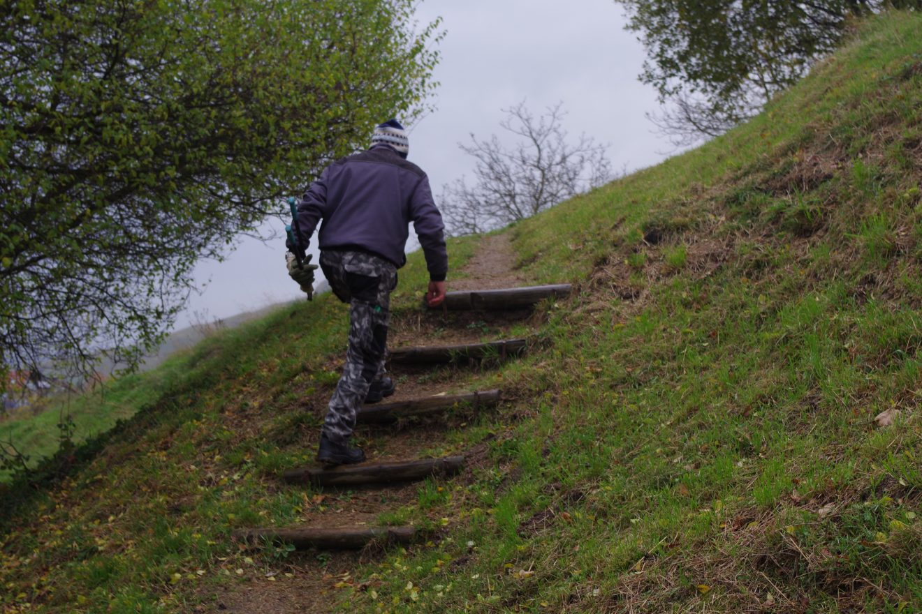 Himmlische Trockenmauerpflege auf dem Engelsberg in Bühlertal.