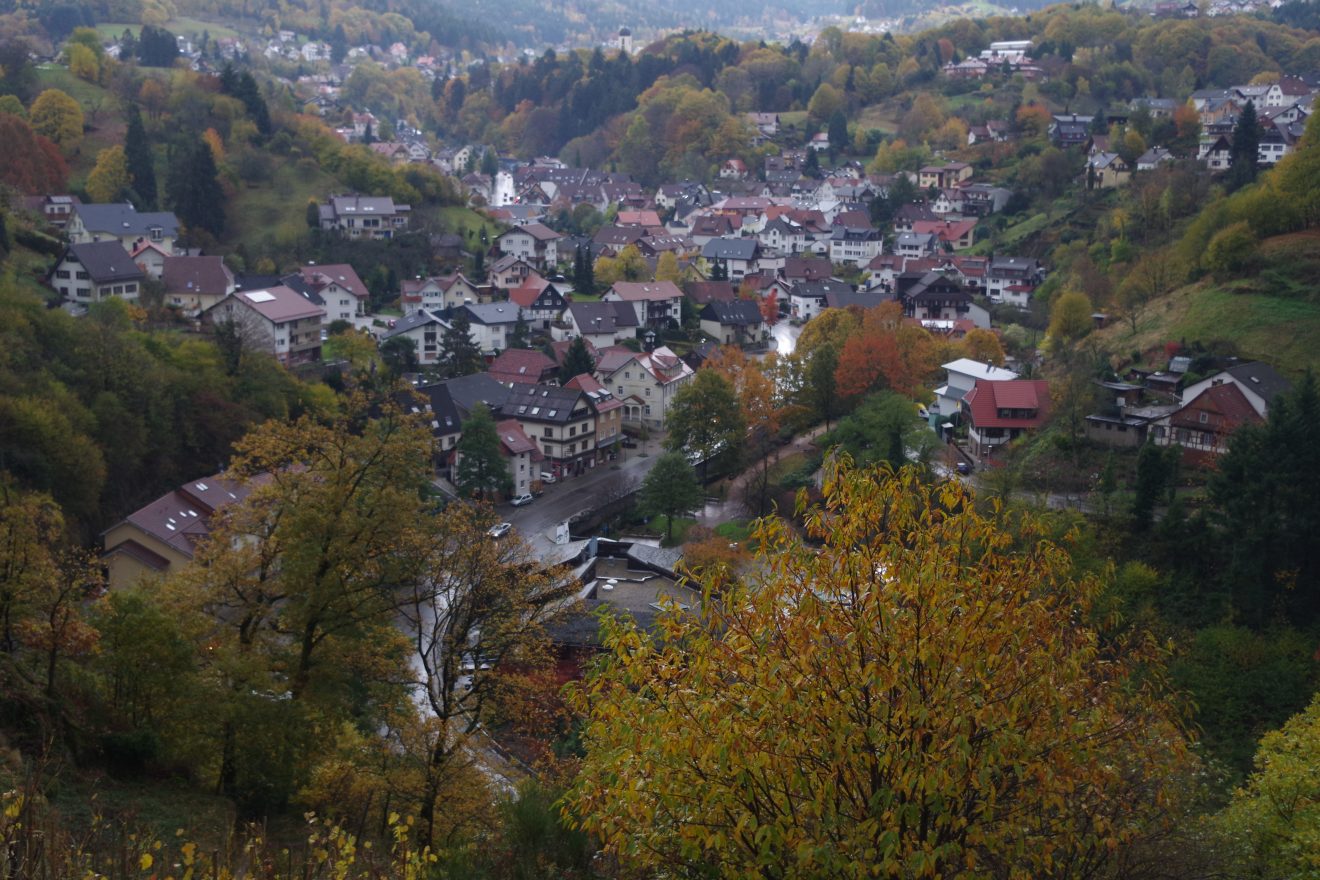Himmlische Trockenmauerpflege auf dem Engelsberg in Bühlertal.