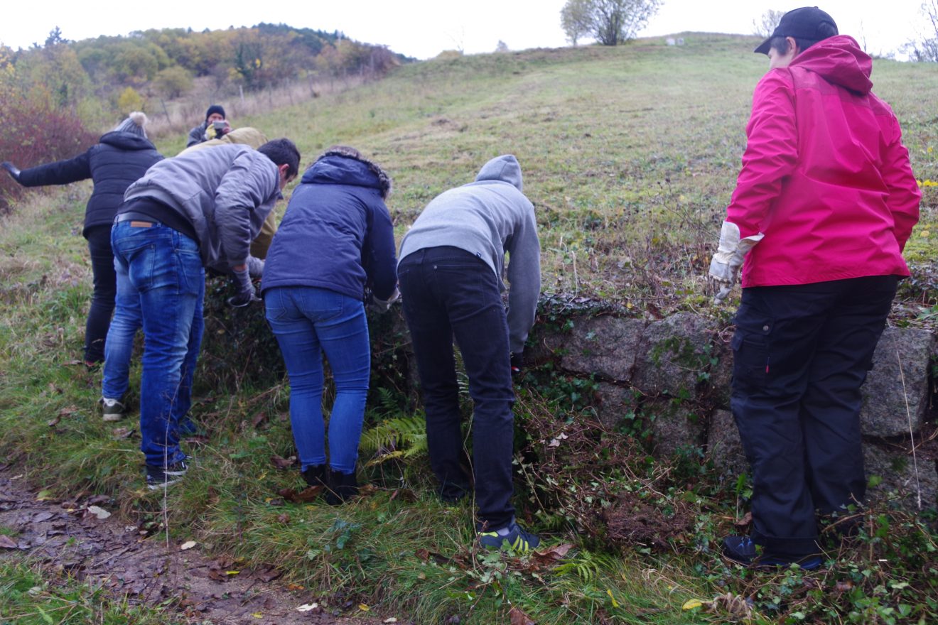 Tockenmauerpflege auf dem Engelsberg in Bühlertal.