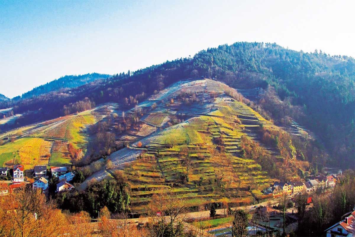 Naturpark-Schwarzwald-Blog_Wandern-und-Geniessen-auf-dem-Engelsberg