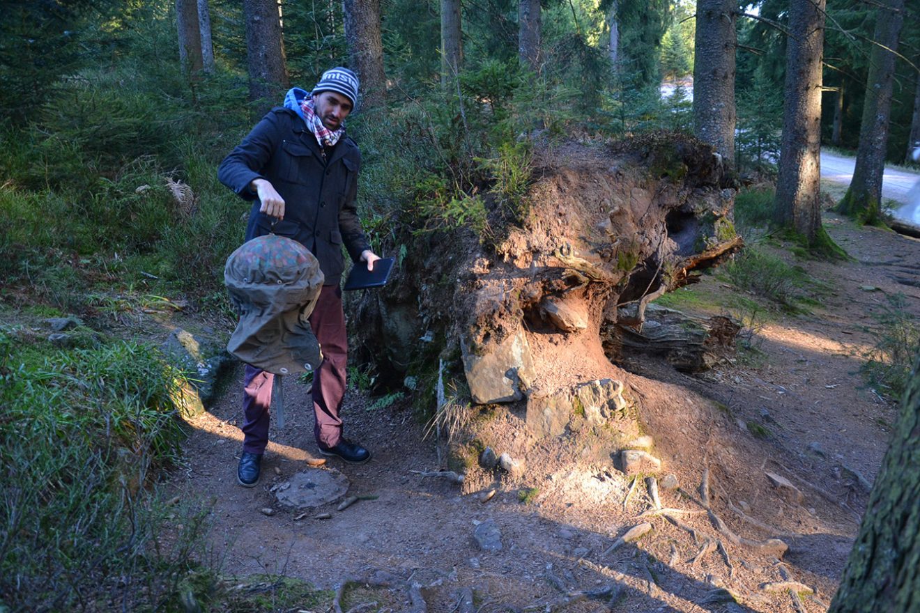 Naturpark Schwarzwald Blog, Natur und Aktiv, Kaltenbronn, Rundweg Wildsee