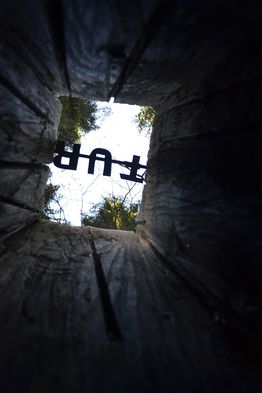 Naturpark Schwarzwald Blog, Natur und Aktiv, Kaltenbronn, Rundweg Wildsee