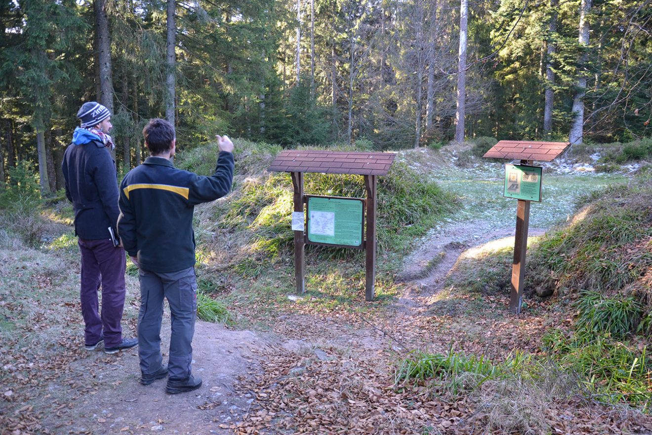 Naturpark Schwarzwald Blog, Natur und Aktiv, Kaltenbronn, Rundweg Wildsee