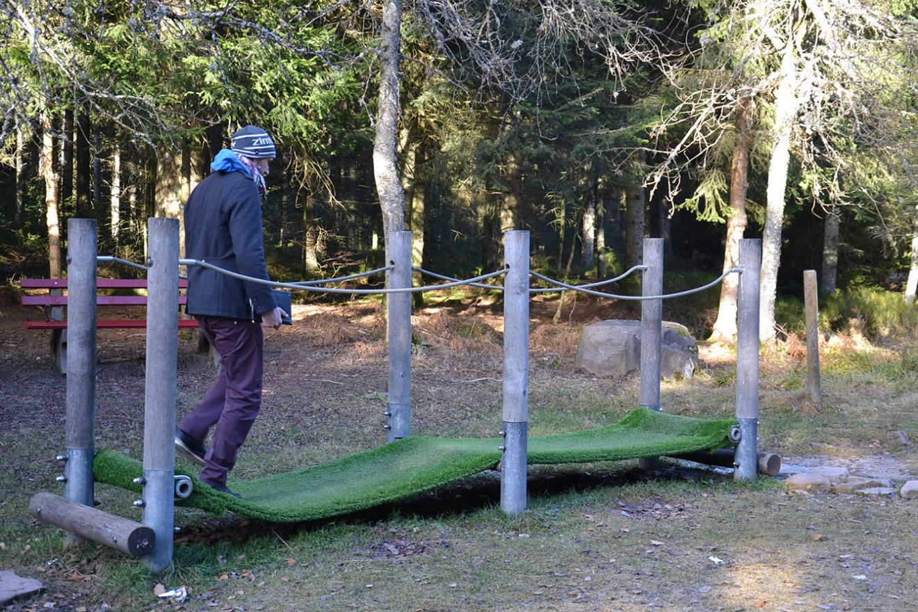Naturpark Schwarzwald Blog, Natur und Aktiv, Kaltenbronn, Rundweg Wildsee