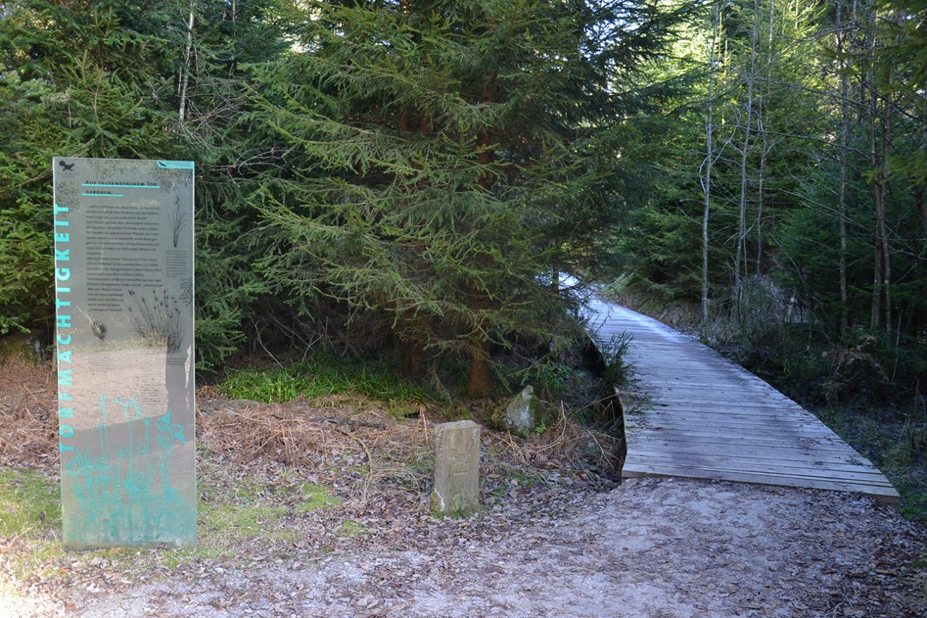 Naturpark Schwarzwald Blog, Natur und Aktiv, Kaltenbronn, Rundweg Wildsee