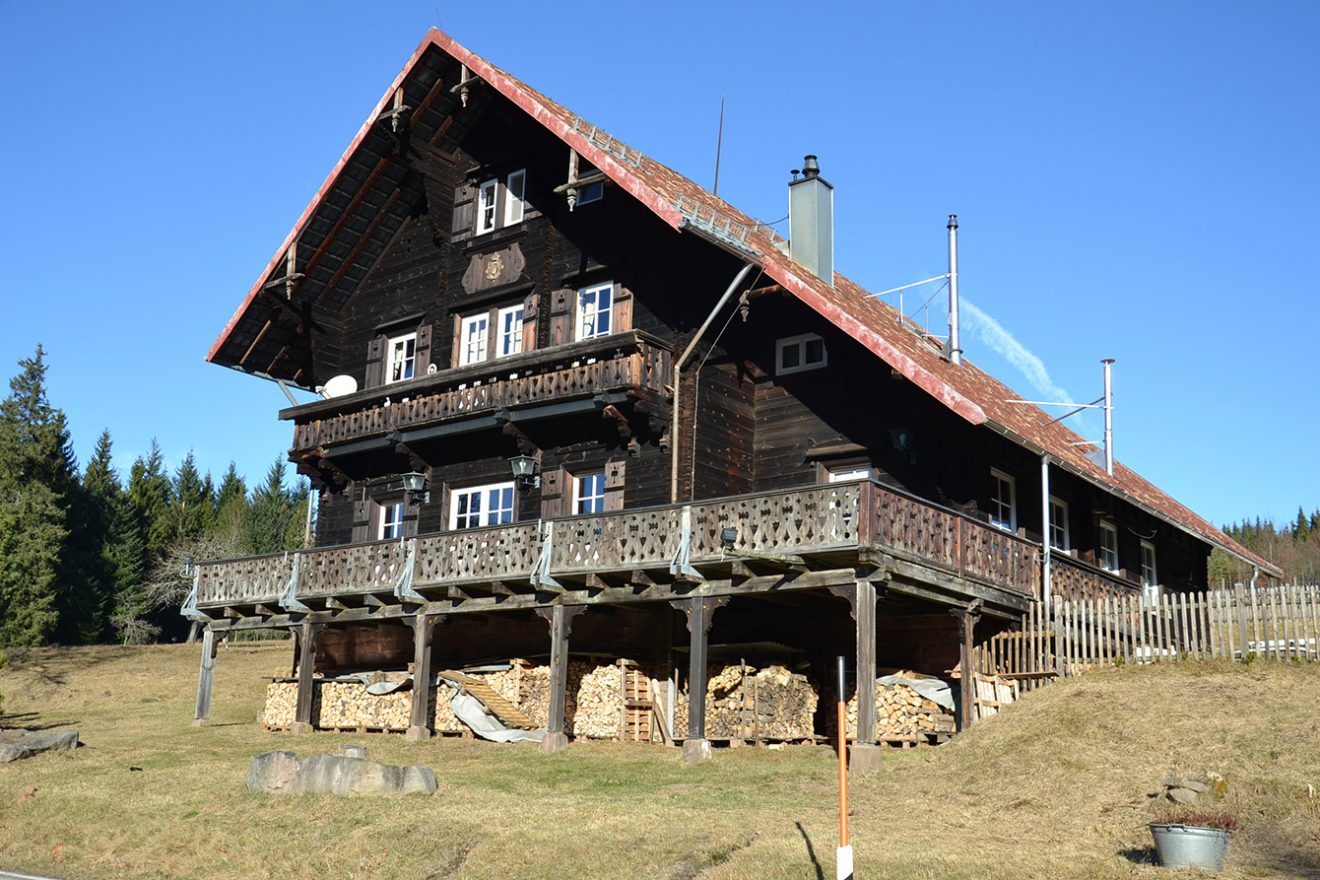 Naturpark Schwarzwald Blog, Natur und Aktiv, Kaltenbronn, Rundweg Wildsee