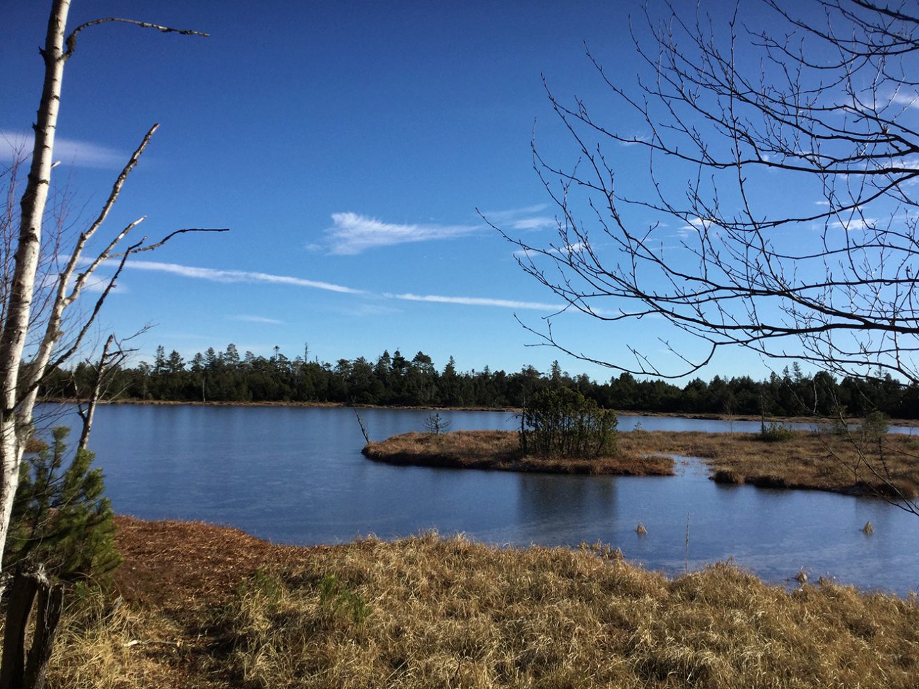 Naturpark Schwarzwald Blog, Natur und Aktiv, Kaltenbronn, Rundweg Wildsee