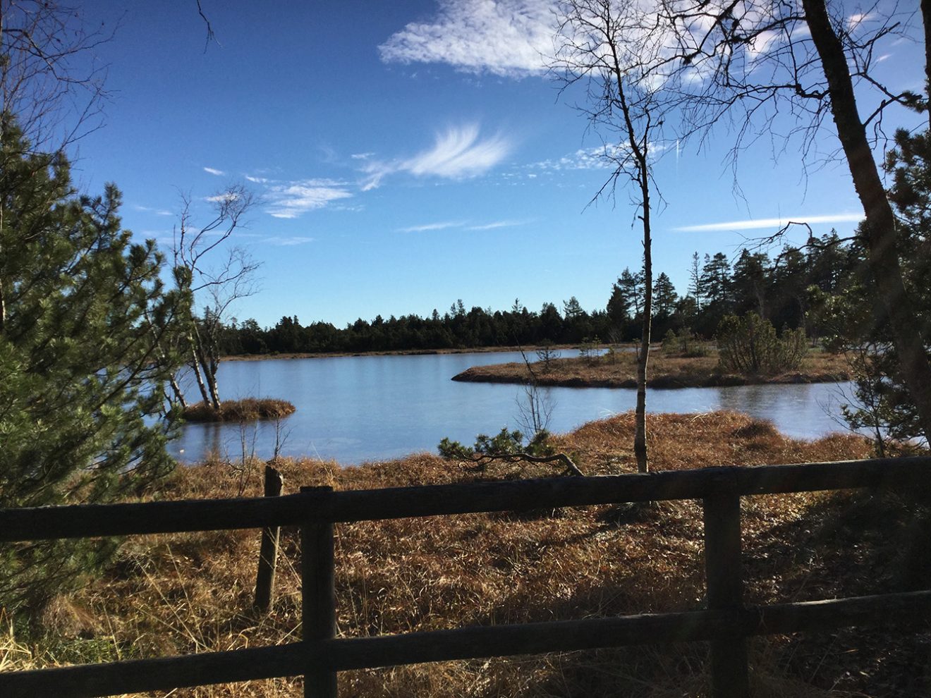 Naturpark Schwarzwald Blog, Natur und Aktiv, Kaltenbronn, Rundweg Wildsee