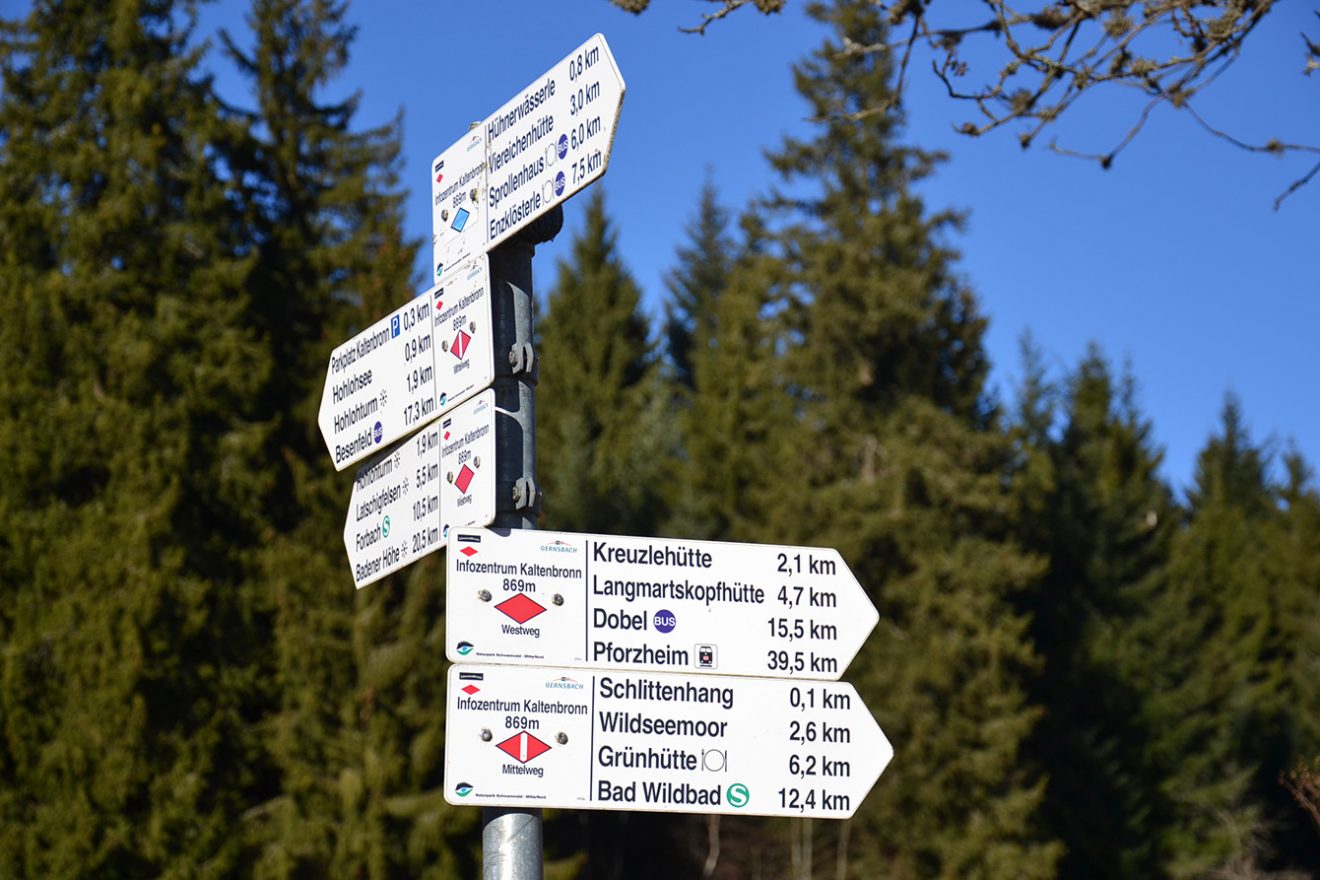 Naturpark Schwarzwald Blog, Natur und Aktiv, Kaltenbronn, Rundweg Wildsee