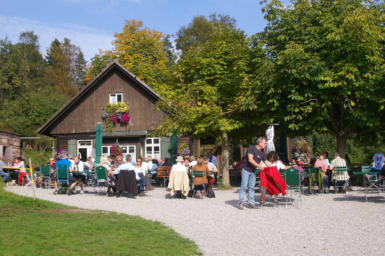 Naturpark Schwarzwald Blog, Natur und Aktiv, Kaltenbronn, Rundweg Wildsee