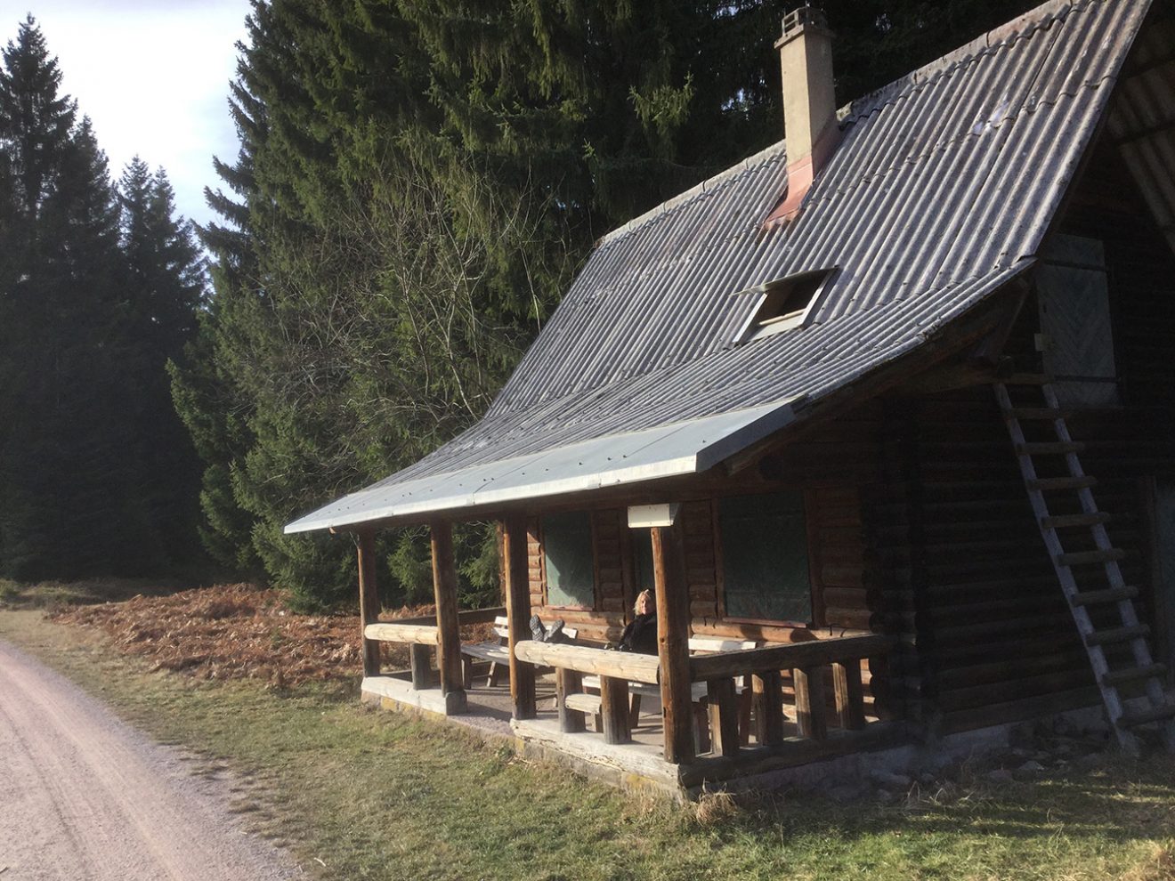 Naturpark Schwarzwald Blog, Natur und Aktiv, Kaltenbronn, Rundweg Wildsee