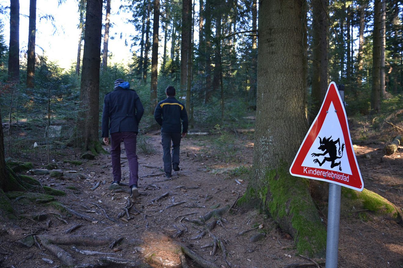Naturpark Schwarzwald Blog, Natur und Aktiv, Kaltenbronn, Rundweg Wildsee