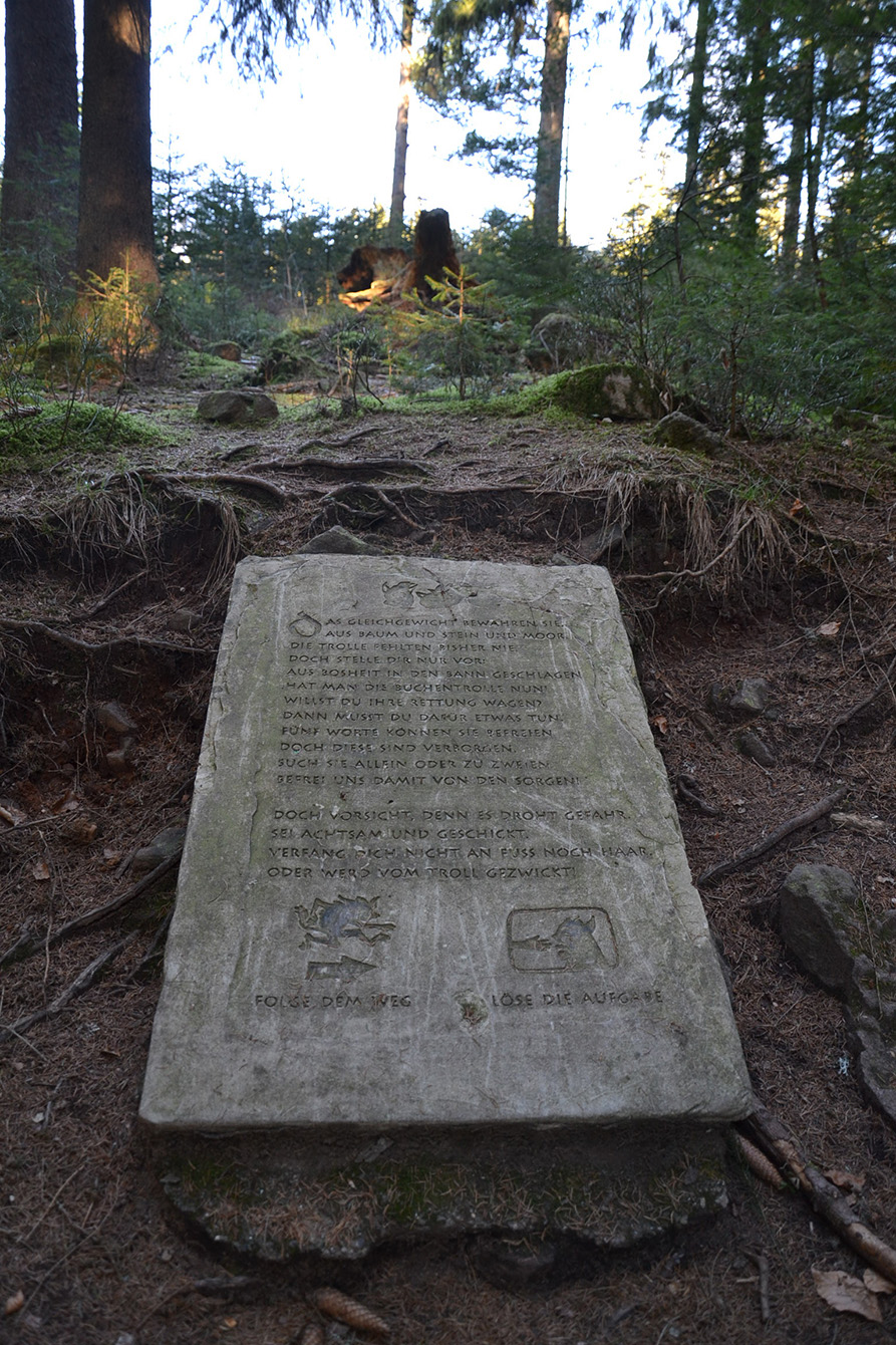 Naturpark Schwarzwald Blog, Natur und Aktiv, Kaltenbronn, Rundweg Wildsee