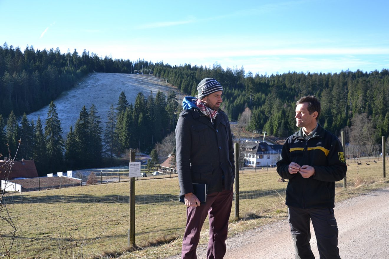 Naturpark Schwarzwald Blog, Natur und Landschaft, Hochmoor Kaltenbronn