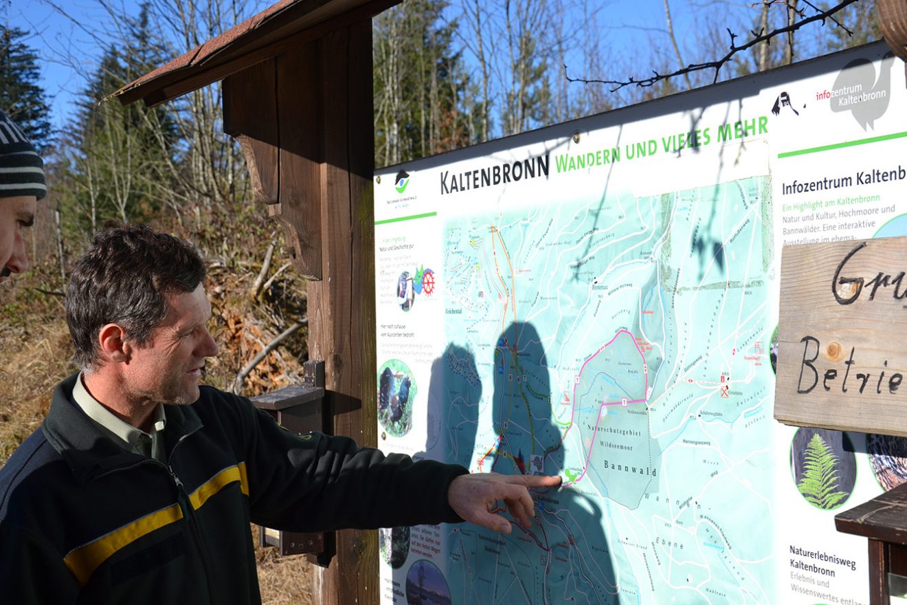 Naturpark Schwarzwald Blog, Natur und Landschaft, Hochmoor Kaltenbronn