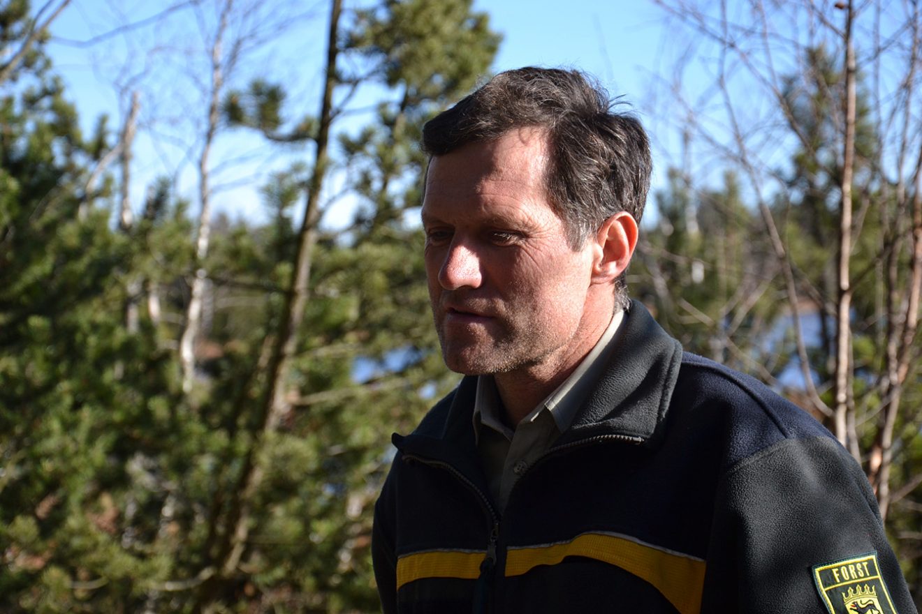 Naturpark Schwarzwald Blog, Natur und Landschaft, Hochmoor Kaltenbronn