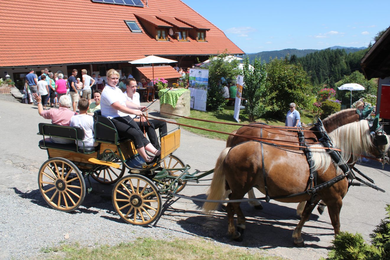 Naturpark-Genuss-Brunch auf dem Bauernhof.