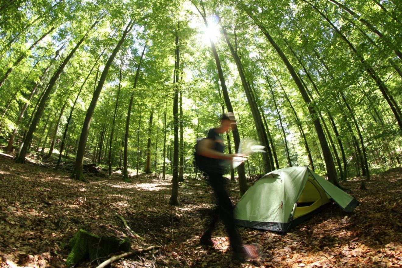 Trekking Schwarzwald - Campen in der Wildnis
