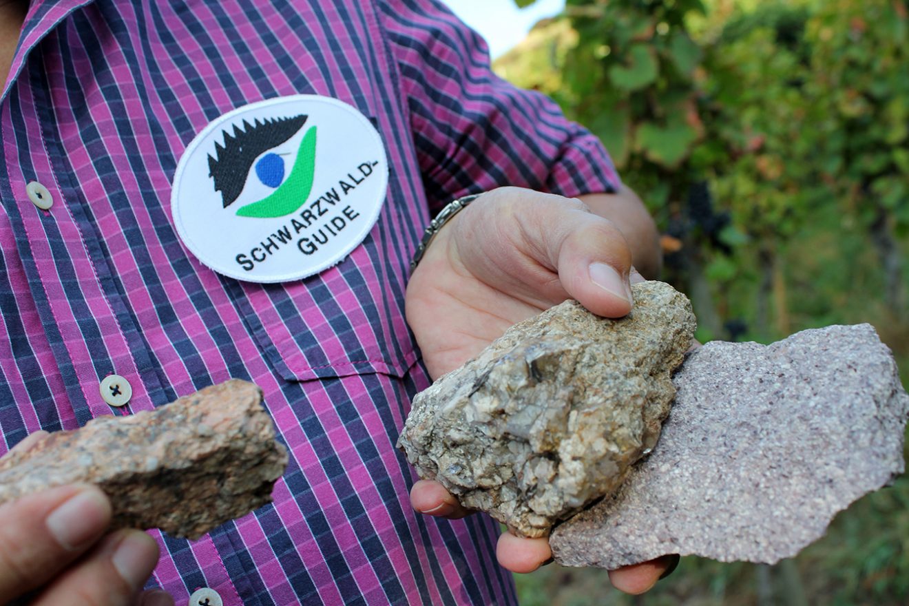 Naturpark-Blog, Natur und Landschaft, Schwarzwaldguides, Jahresprogramm 2017