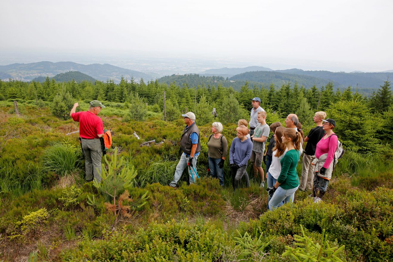 Herzenssache Natur: Auerwild-Habitatpflege in Baden-Baden