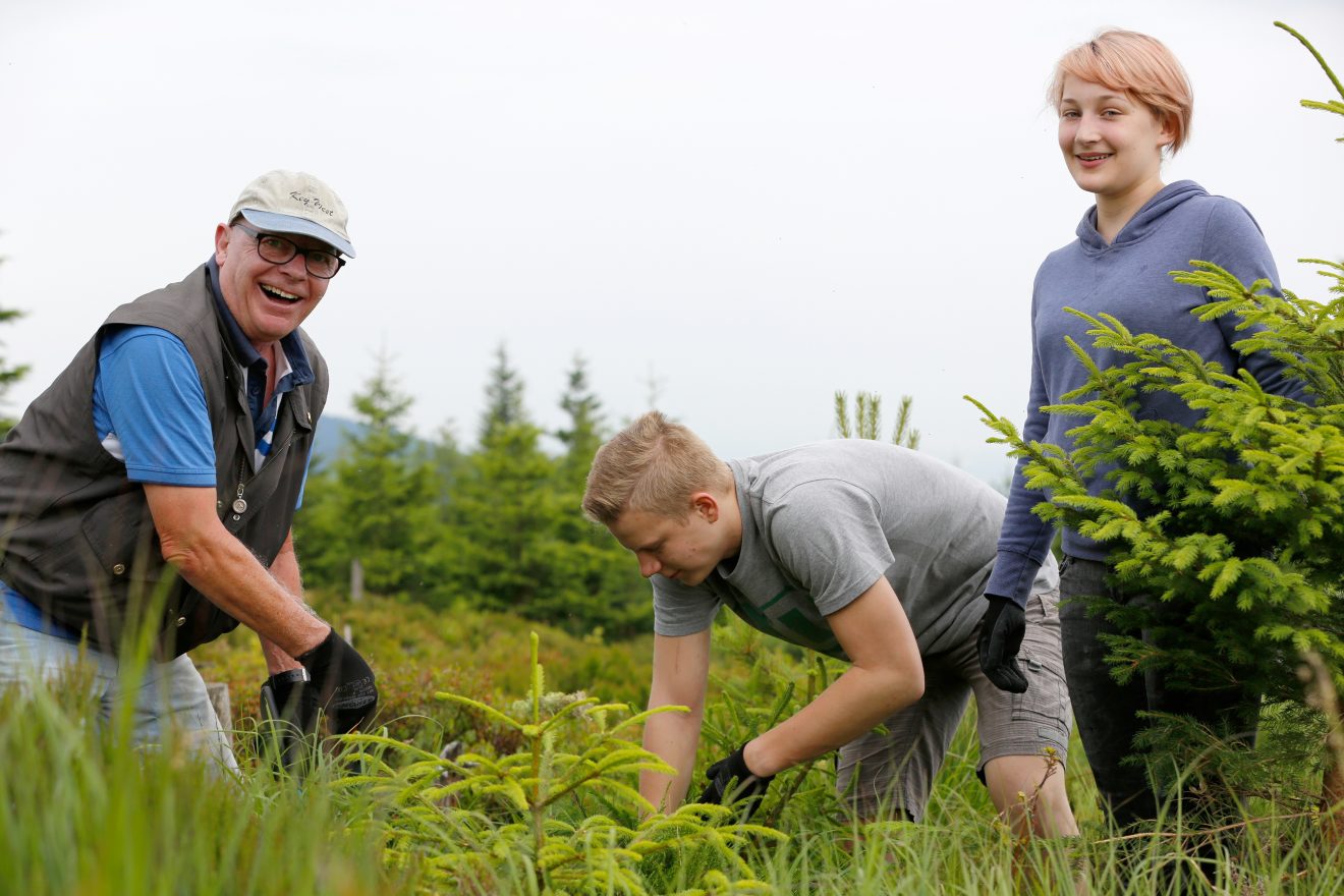 Herzenssache Natur: Auerwild-Habitatpflege in Baden-Baden