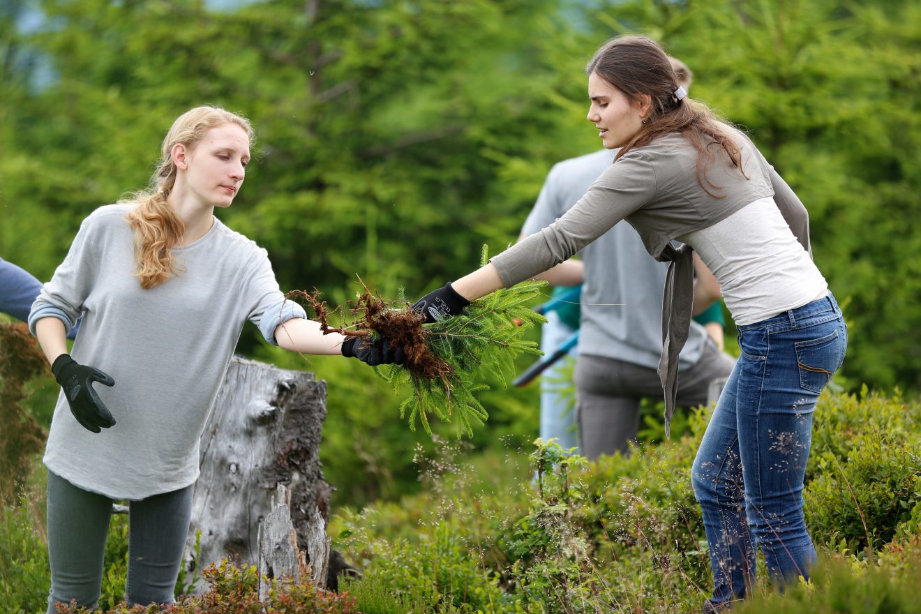 Herzenssache Natur: Auerwild-Habitatpflege in Baden-Baden