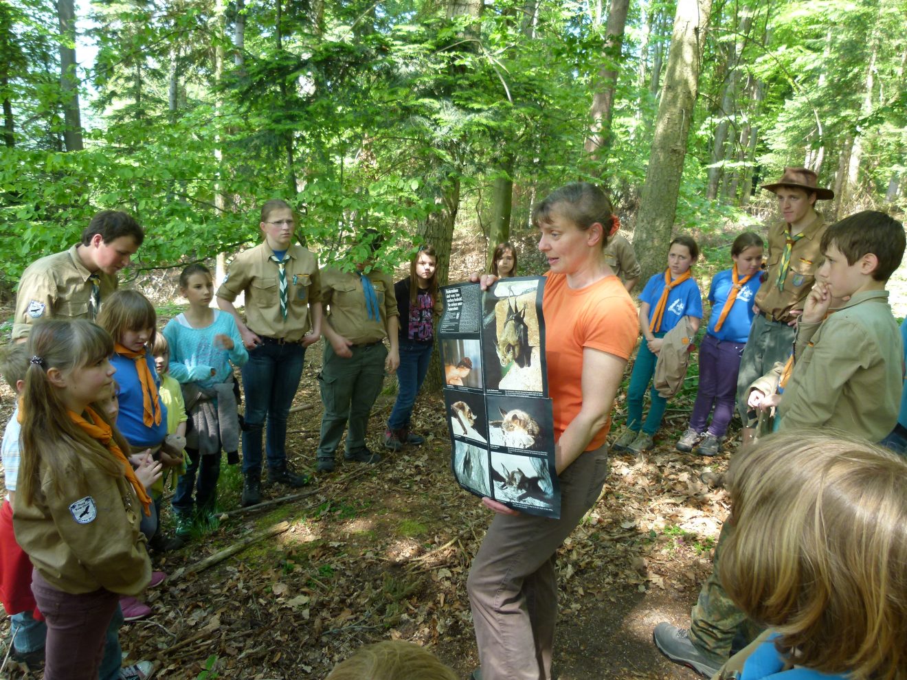 Bunte Wiesenvielfalt: Adlerfarn schlägeln im Reichenbachtal bei Gernsbach. Zur Abwechslung gibt's ein Fledermausprogramm.