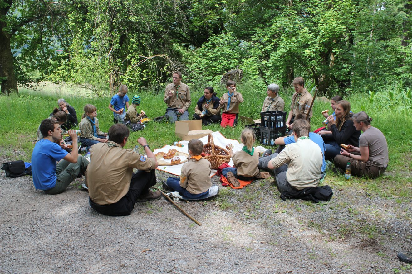 Bunte Wiesenvielfalt: Adlerfarn schlägeln im Reichenbachtal bei Gernsbach.