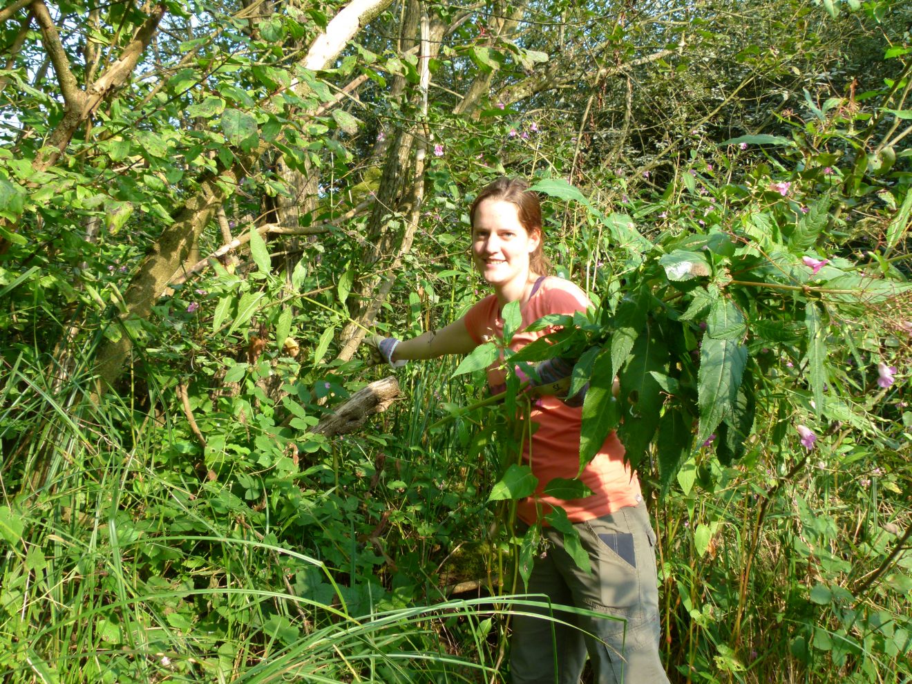 Orchideenwiesenpflege in Ettenheim