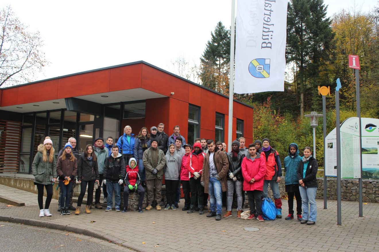 Himmlische Trockenmauerpflege Bühlertal