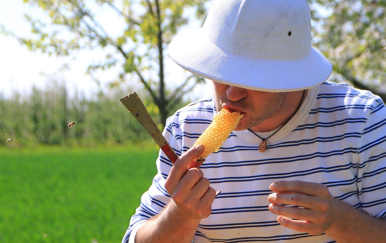 Cum Natura - Geschmackstest am Bienenstock