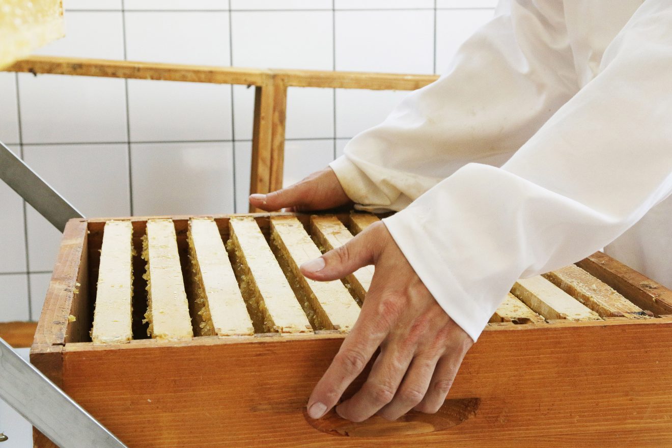 Cum Natura Produktion - Beuten