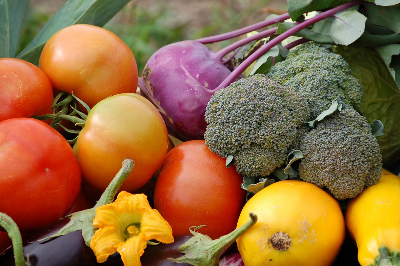 Naturpark Schwarzwald Blog, Schliffkopf-Hotel, Basenfasten, Wacker-Methode