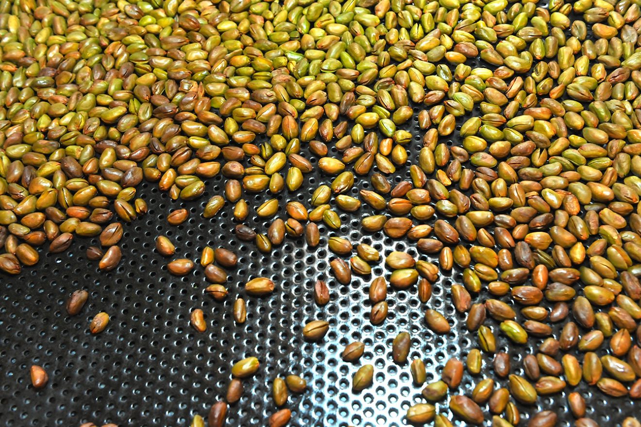 Naturpark Schwarzwald Blog, Schliffkopf-Hotel, Basenfasten, Wacker-Methode