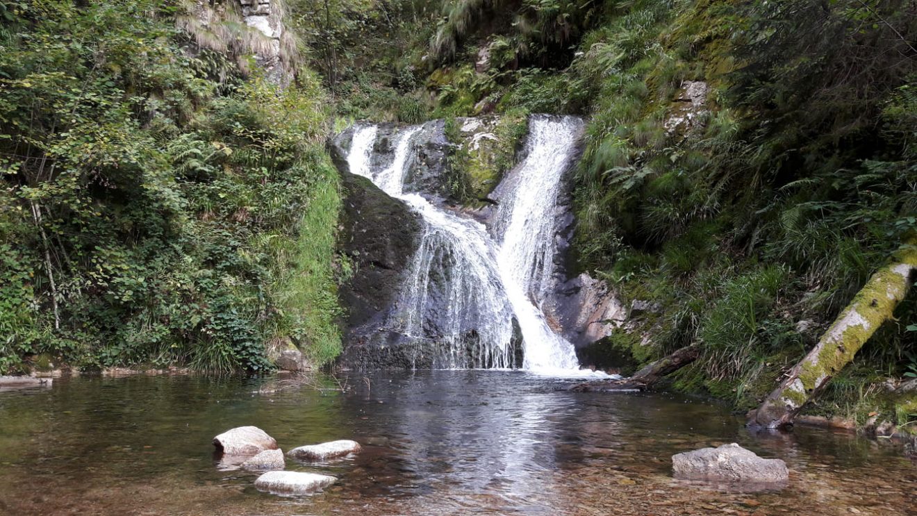 naturpark-schwarzwald-blog_alpirsbacher-tourentipp_01_Allerheiligen-Sagenrundwanderweg 06