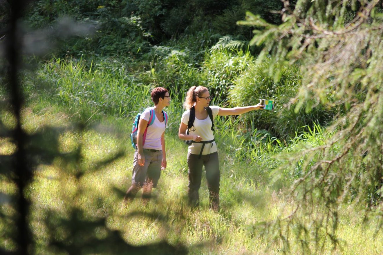 Trekking Schwarzwald