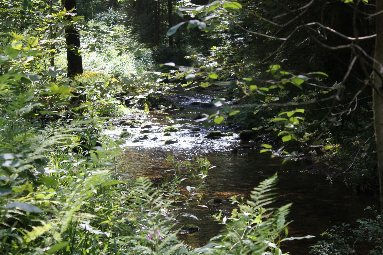 Trekking-Wochenende mit Christoph Maretzek