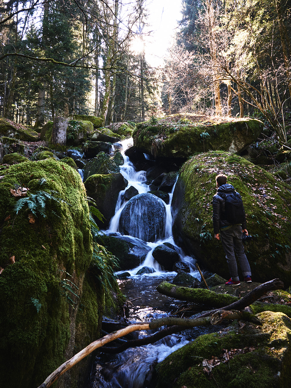 Naturpark Schwarzwald Blog, Fotograf Andre Alexander: Gertelbachschlucht