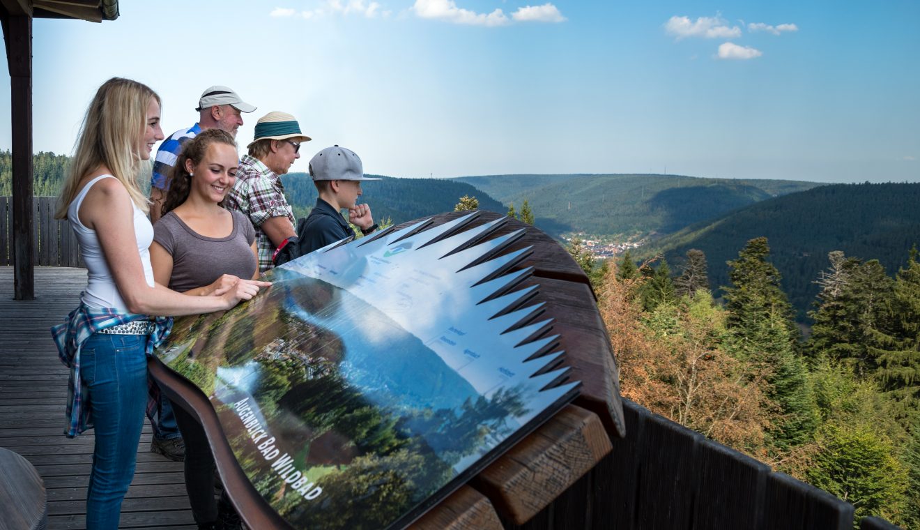 AugenBlicke im Naturpark Schwarzwald Mitte/Nord: Panoramasicht und Rundwanderungen