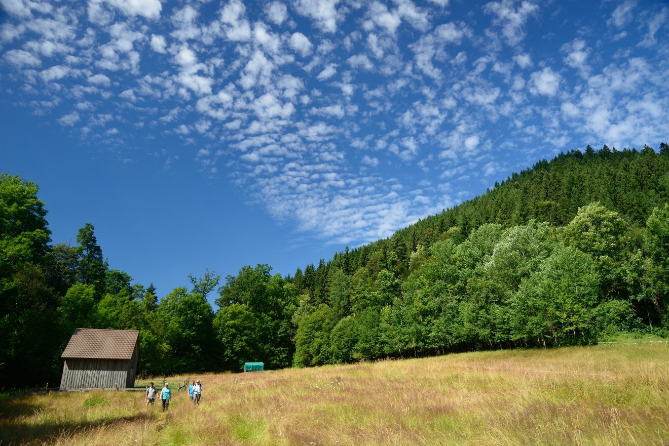 Naturpark-AugenBlick-Runde Neuweiler