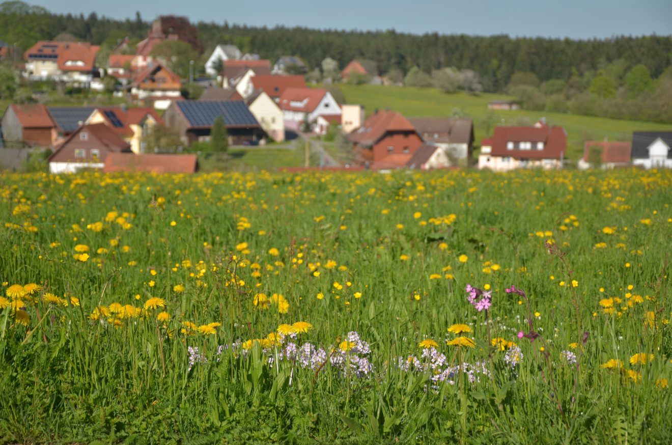 Naturpark-AugenBlick-Runde Neuweiler