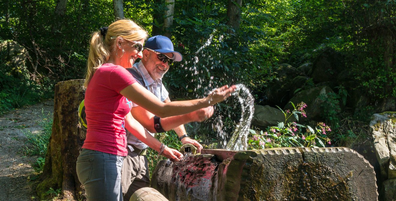 Naturpark-AugenBlick-Runde Sasbachwalden