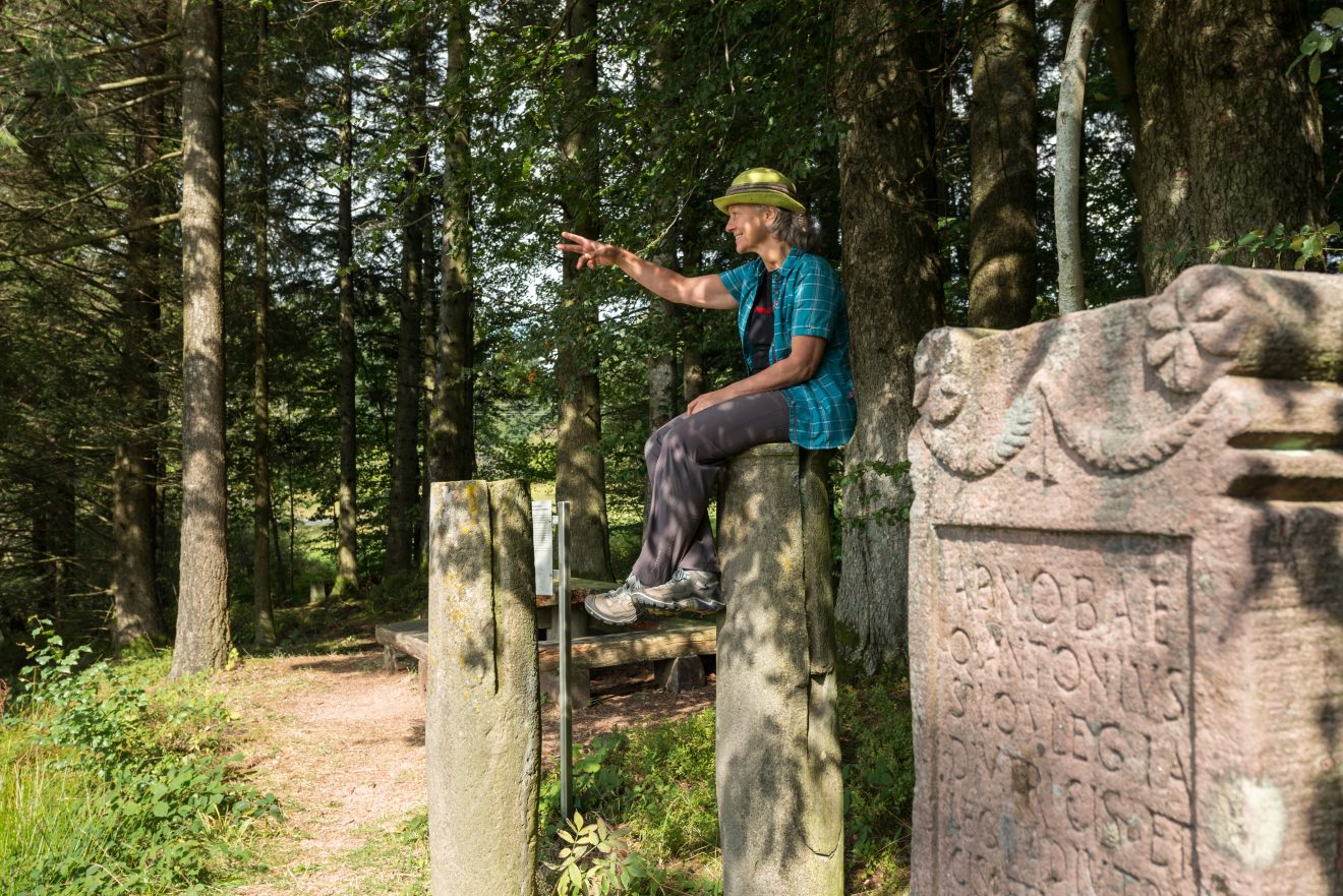 Naturpark-AugenBlick-Runde Schiltach