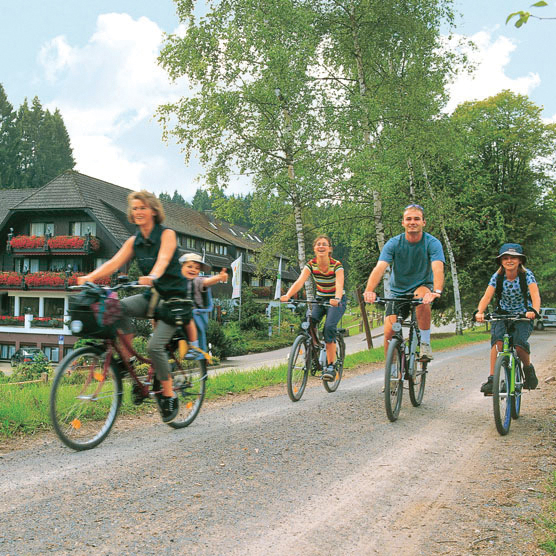 Radeln Hotel Waldsägmühle Pfalzgrafenweiler-Kälberbronn