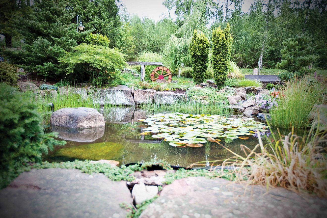 Teich Hotel Waldsägmühle Pfalzgrafenweiler-Kälberbronn