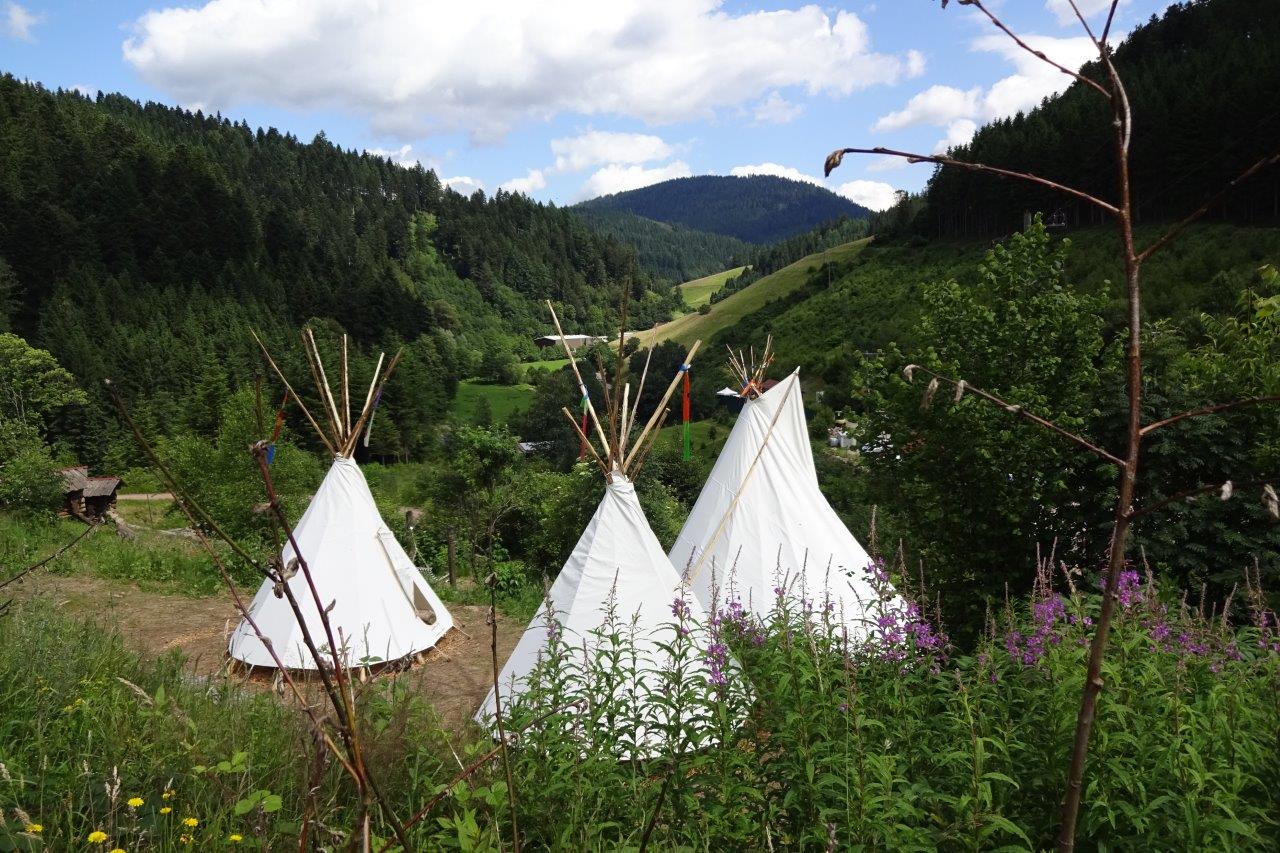 angebot kinder familien ausflug schwarzwald urlaub deutschland nationalpark