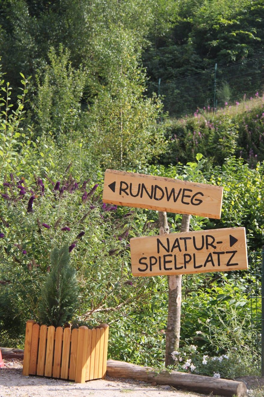 wandern im schwarzwald ausflug tagesausflug urlaub ferienwohnung kinder