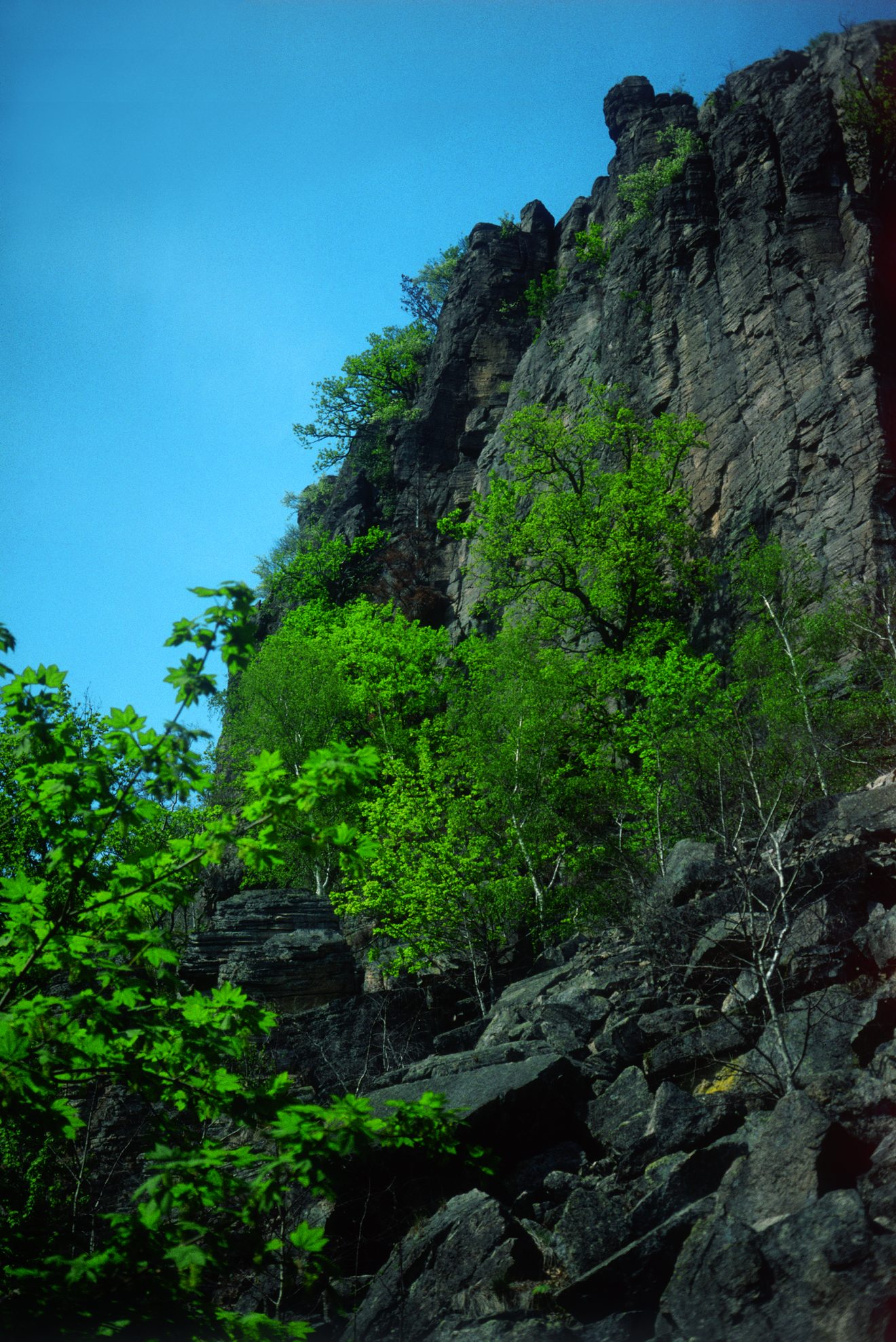 Battert in Baden-Baden